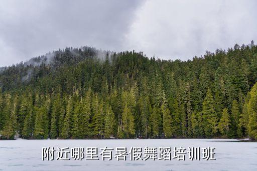 附近舞蹈培训班的地址儿童，哪里有幼儿舞蹈班