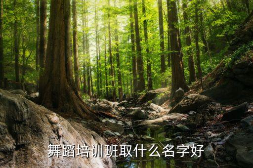 舞蹈培训班取什么名字好