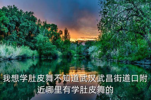 武汉武昌区哪里有学肚皮舞的，我想学肚皮舞不知道武汉武昌街道口附近哪里有学肚皮舞的