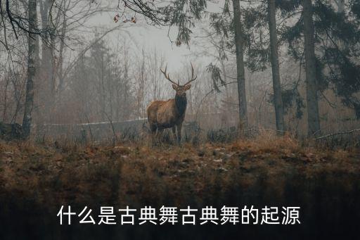 中国古典舞是什么，什么是古典舞古典舞的起源