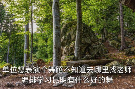 舞蹈教师培训机构哪个好，舞蹈培训到底去哪里比较好