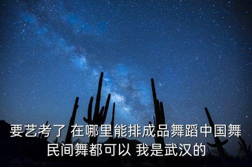 中考艺考生舞蹈成品舞，要艺考了 在哪里能排成品舞蹈中国舞民间舞都可以 我是武汉的
