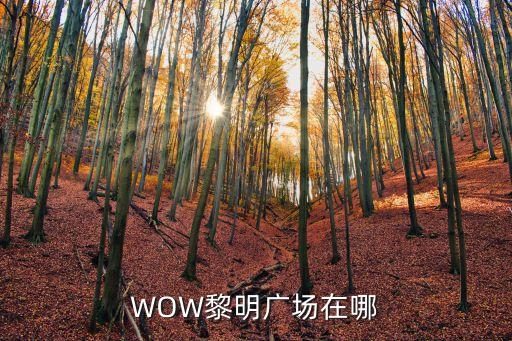 WOW黎明广场在哪