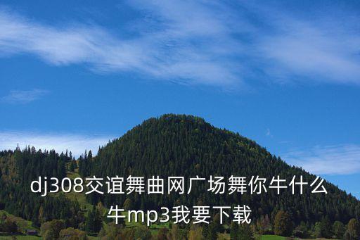 dj308交谊舞曲网广场舞你牛什么牛mp3我要下载