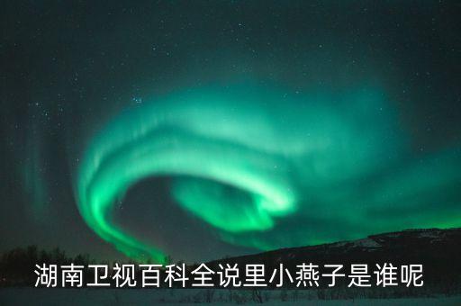 湖南卫视百科全说里小燕子是谁呢