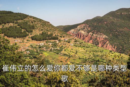 崔伟立的怎么爱你都爱不够是哪种类型歌