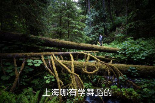 上海哪有学舞蹈的
