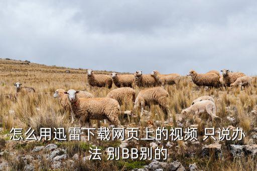 怎么甩大腰视频 迅雷下载，怎么用迅雷下载网页上的视频 只说办法 别BB别的