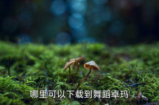 哪里可以下载到舞蹈卓玛