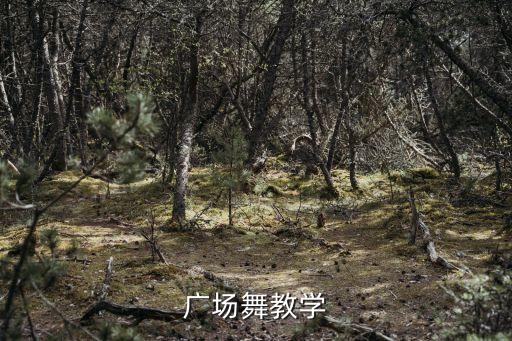 广场舞教学