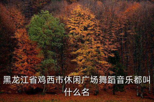 黑龙江省鸡西市休闲广场舞蹈音乐都叫什么名