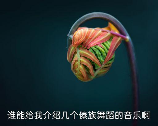 谁能给我介绍几个傣族舞蹈的音乐啊