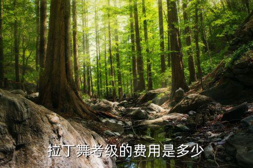 小孩舞蹈考级费用多少钱，少儿舞蹈考级收费