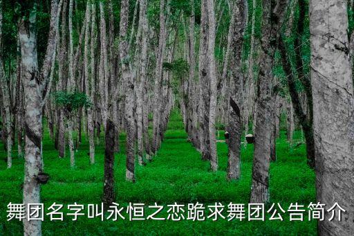 王广成广场舞什么之恋，舞团名字叫永恒之恋跪求舞团公告简介