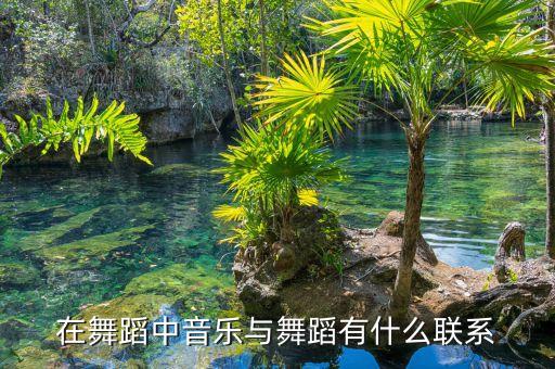 在舞蹈中音乐与舞蹈有什么联系
