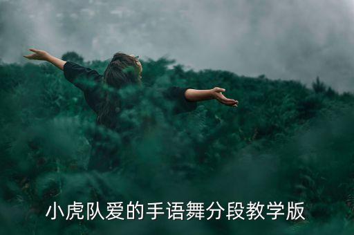 小虎队爱的手语舞分段教学版