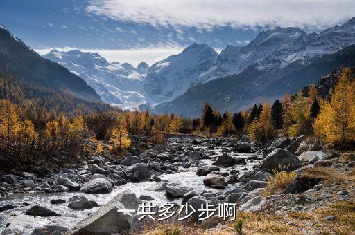 一共多少步啊