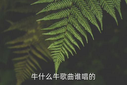 牛什么牛歌曲谁唱的
