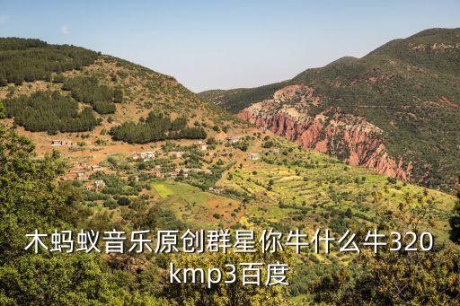 木蚂蚁音乐原创群星你牛什么牛320kmp3百度
