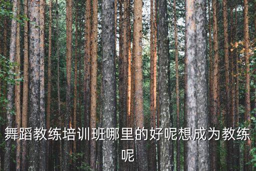 舞蹈教练培训班哪里的好呢想成为教练呢