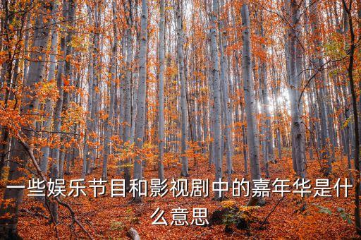 一些娱乐节目和影视剧中的嘉年华是什么意思