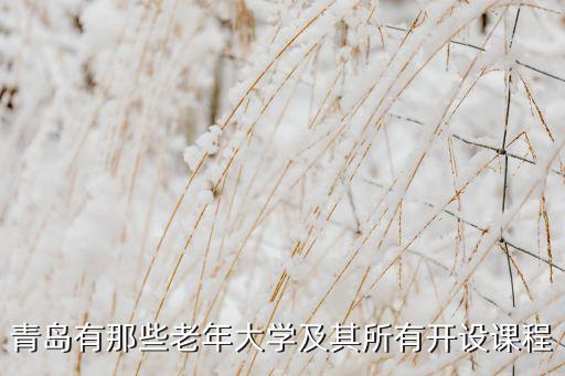 青岛有那些老年大学及其所有开设课程