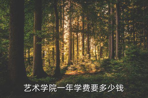 艺术学院一年学费要多少钱