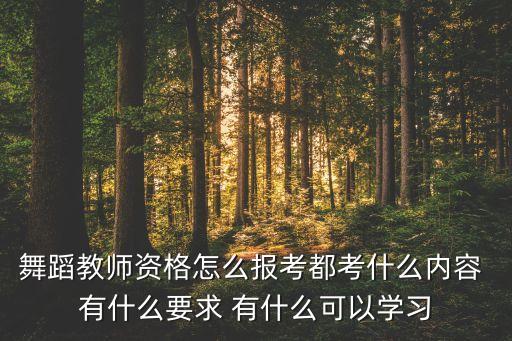 舞蹈教师资格怎么报考都考什么内容 有什么要求 有什么可以学习