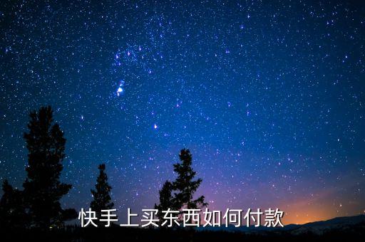 快手上买东西如何付款