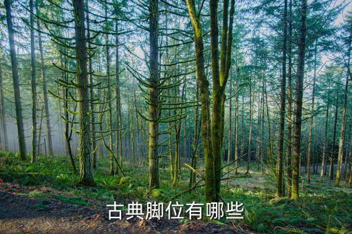 中国古典舞有哪些脚位，中国舞的基本脚位