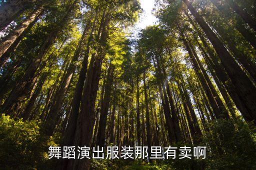 舞蹈演出服装那里有卖啊