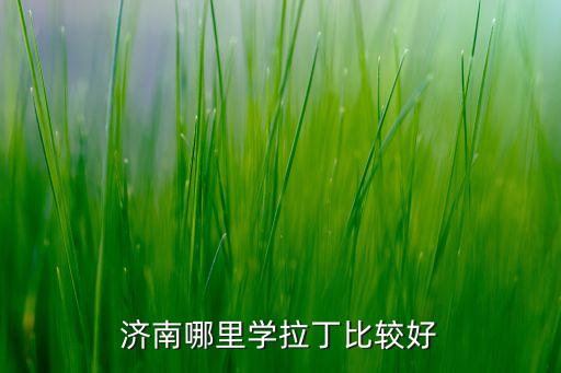 济南哪里学拉丁比较好