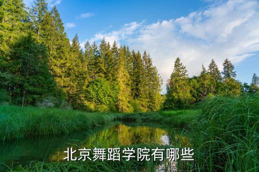 什么是北舞，北京舞蹈学院