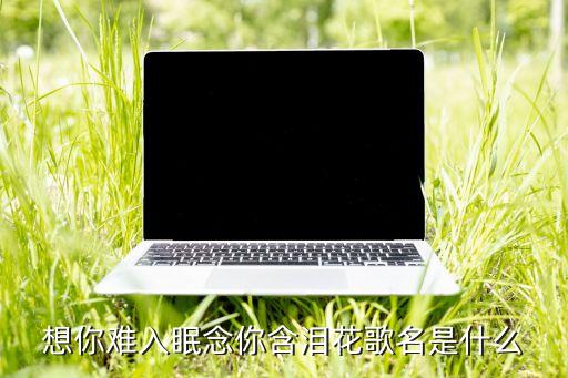 如何了何时了却这牵挂，想你难入眠念你含泪花歌名是什么