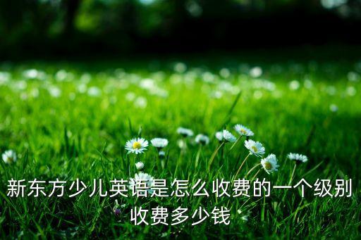 新东方少儿英语是怎么收费的一个级别收费多少钱