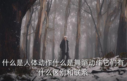 什么是人体动作什么是舞蹈动作它们有什么区别和联系