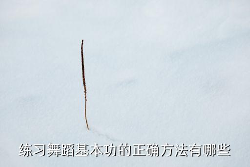 练习舞蹈基本功的正确方法有哪些