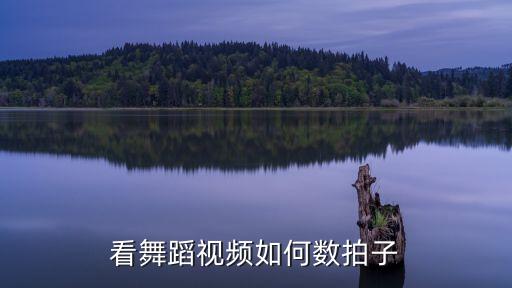 看舞蹈视频如何数拍子