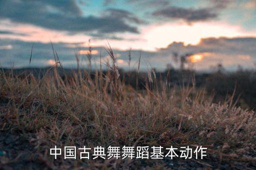 中国古典舞舞蹈基本动作