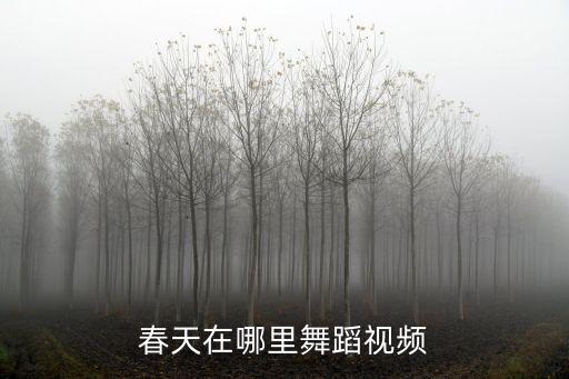 春天在哪里舞蹈视频