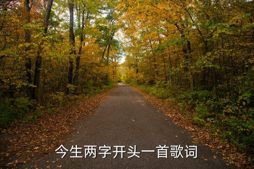 今生两字开头一首歌词