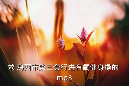 鸡西有什么广场舞，求 鸡西市第三套行进有氧健身操的 mp3