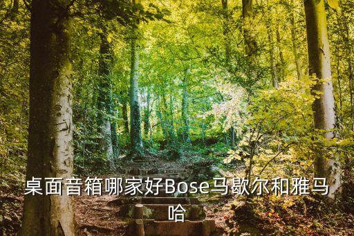 桌面音箱哪家好Bose马歇尔和雅马哈