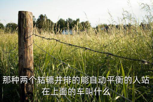 那种两个轱辘并排的能自动平衡的人站在上面的车叫什么