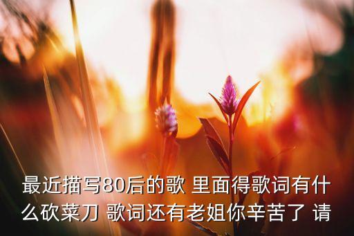 最近描写80后的歌 里面得歌词有什么砍菜刀 歌词还有老姐你辛苦了 请
