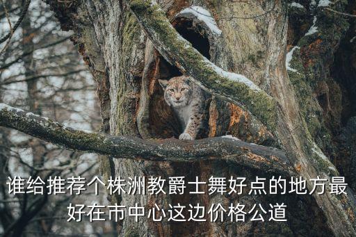 株洲皇后爵士舞多少钱，谁给推荐个株洲教爵士舞好点的地方最好在市中心这边价格公道