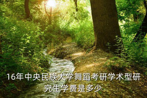16年中央民族大学舞蹈考研学术型研究生学费是多少