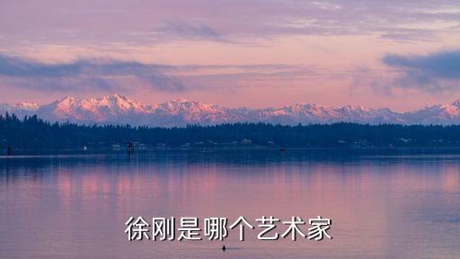 徐刚是哪个艺术家