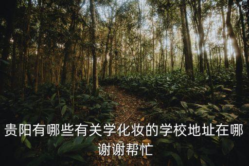 贵阳有哪些有关学化妆的学校地址在哪 谢谢帮忙