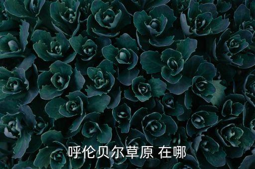 呼伦贝尔草原 在哪